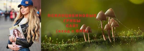 не бодяженный Алексин
