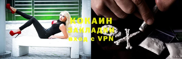 не бодяженный Алексин